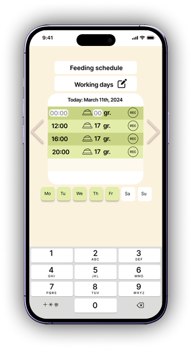 Mockup 4